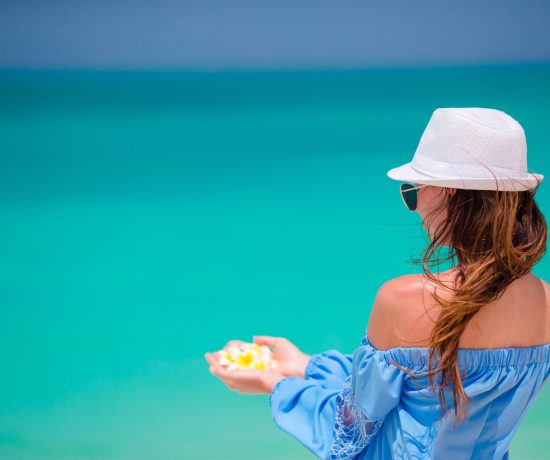 beautiful frangipani flowers in female hands backg 2022 02 08 18 29 34 utc scaled